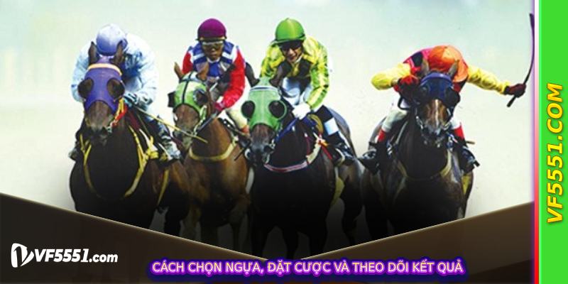 Cách chọn ngựa, đặt cược và theo dõi kết quả